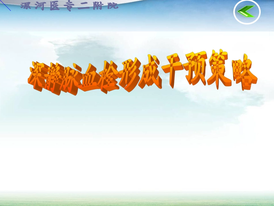 深静脉血栓干预策略_第1页