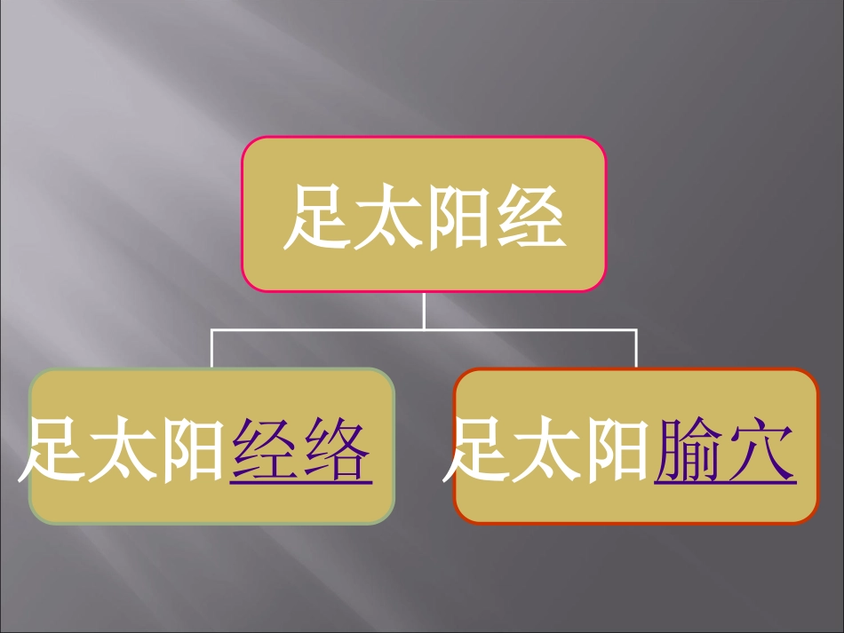 淮阴卫校--足太阳膀胱经全部67穴位_第3页