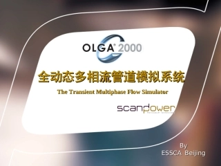 深水油气管道和水下采油树流动保障及OLGA多相流模拟