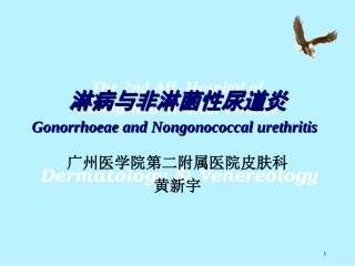 淋病与非淋菌性尿道炎