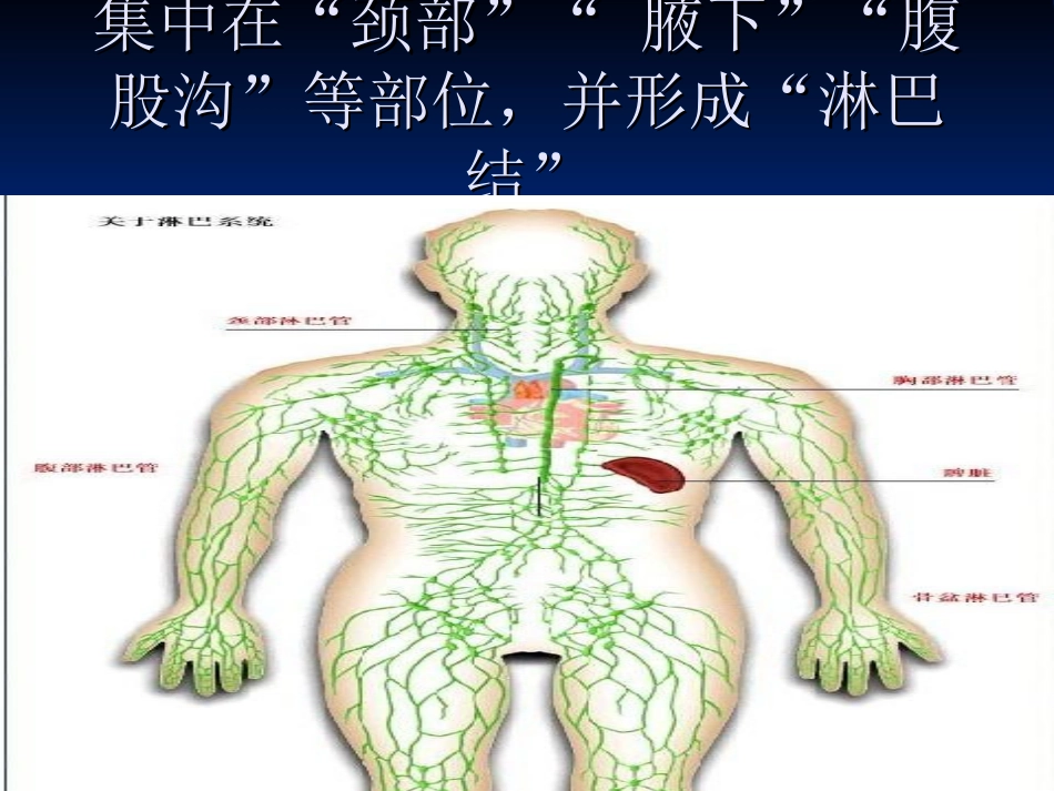 淋巴风暴 ding_第1页