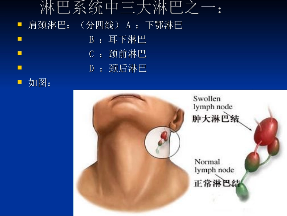 淋巴风暴 ding_第2页