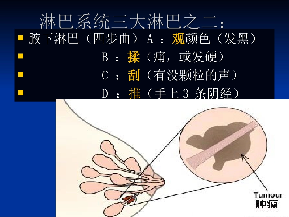 淋巴风暴 ding_第3页