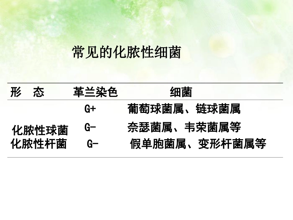 淋病奈瑟菌球形_第2页