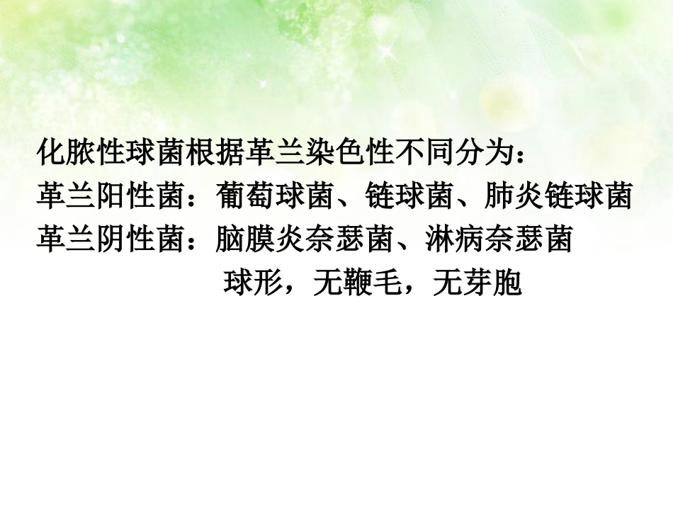 淋病奈瑟菌球形_第3页