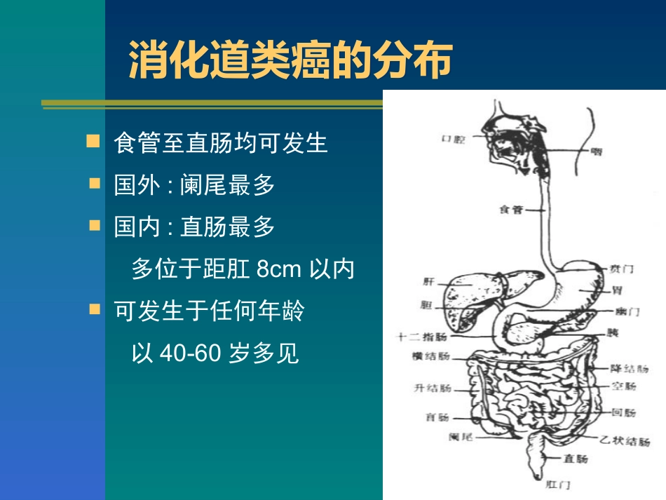 消化道类癌与类癌综合征_第3页