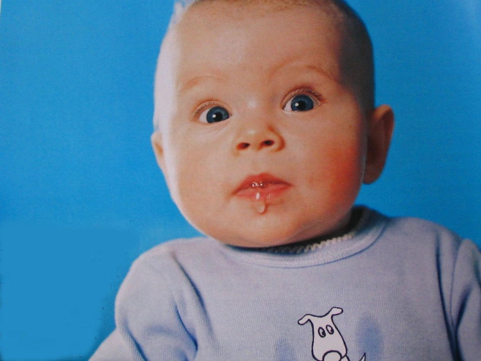 消化系统概述剖析_第2页