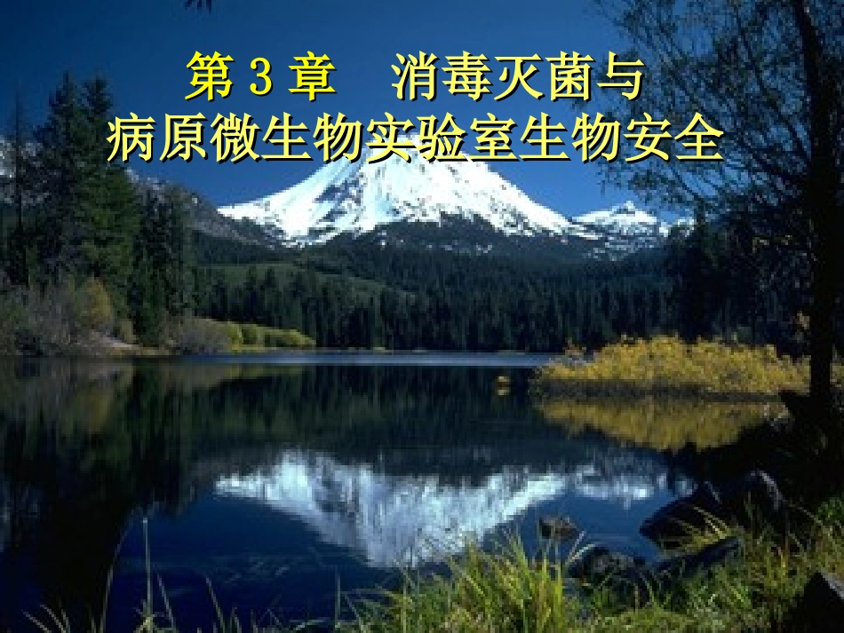 消毒灭菌、噬菌体_第1页