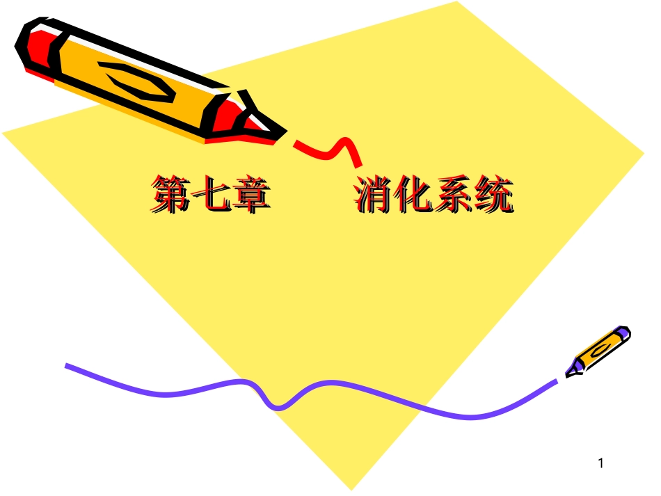 消化系统ppt_第1页