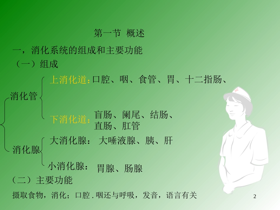 消化系统ppt_第2页
