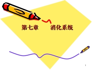 消化系统ppt