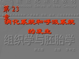消化系统和呼吸系统的发生