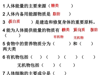 消化与吸收4概述