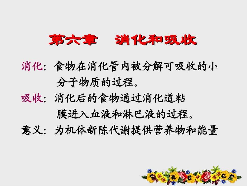 消化和吸收revise_第3页