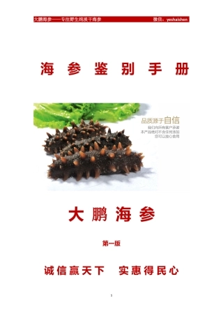 海参鉴别手册