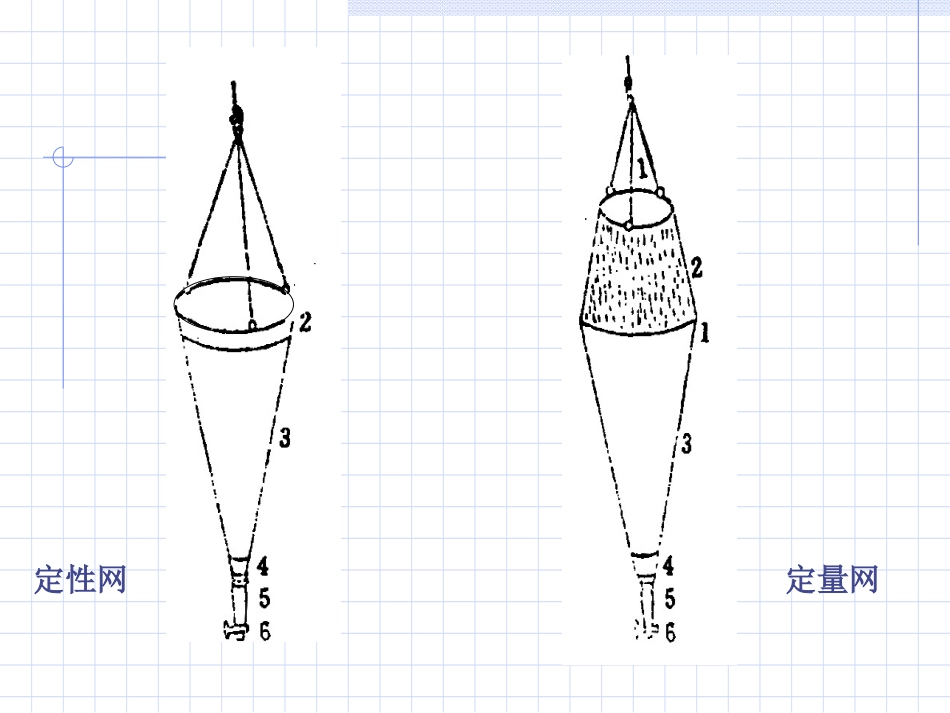 浮游生物的测定_第3页