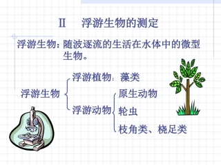 浮游生物的测定