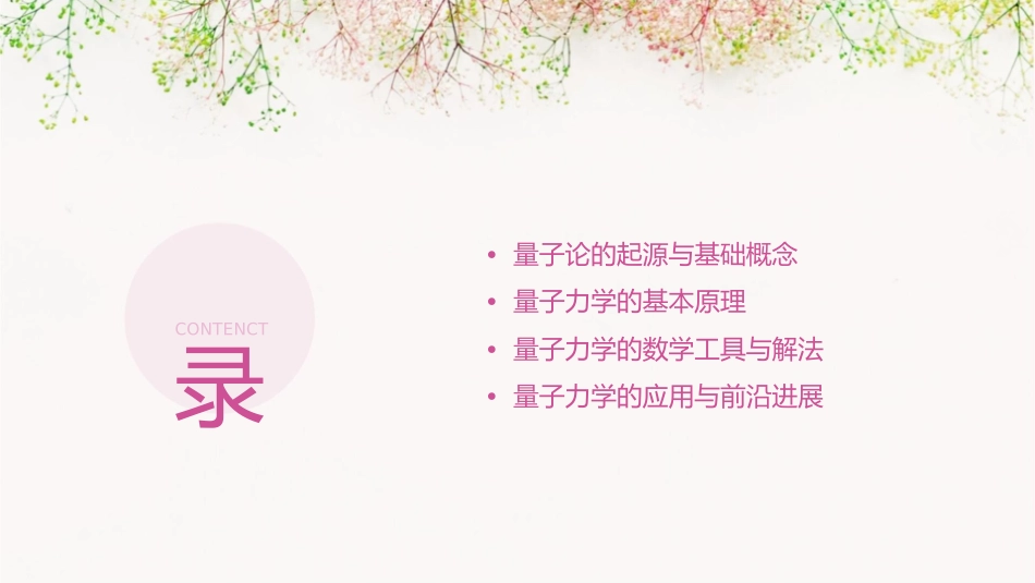 量子论和量子力学基础课件_第2页