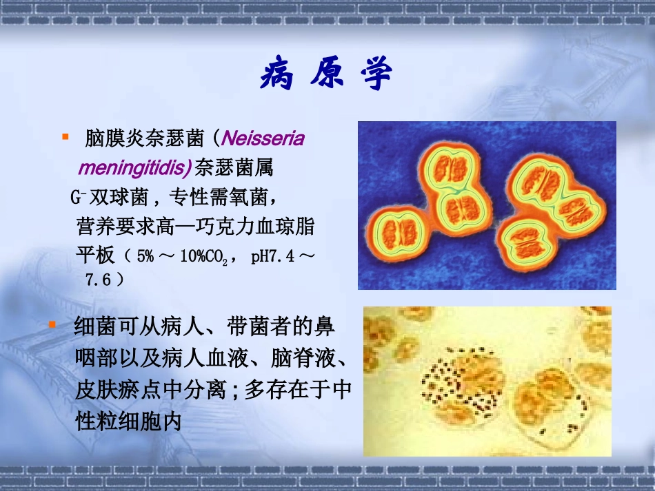 流行性脑脊髓膜炎(2)_第3页