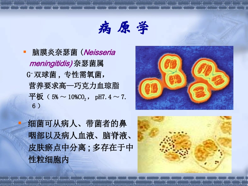 流行性脑脊髓膜炎知识要点_第3页