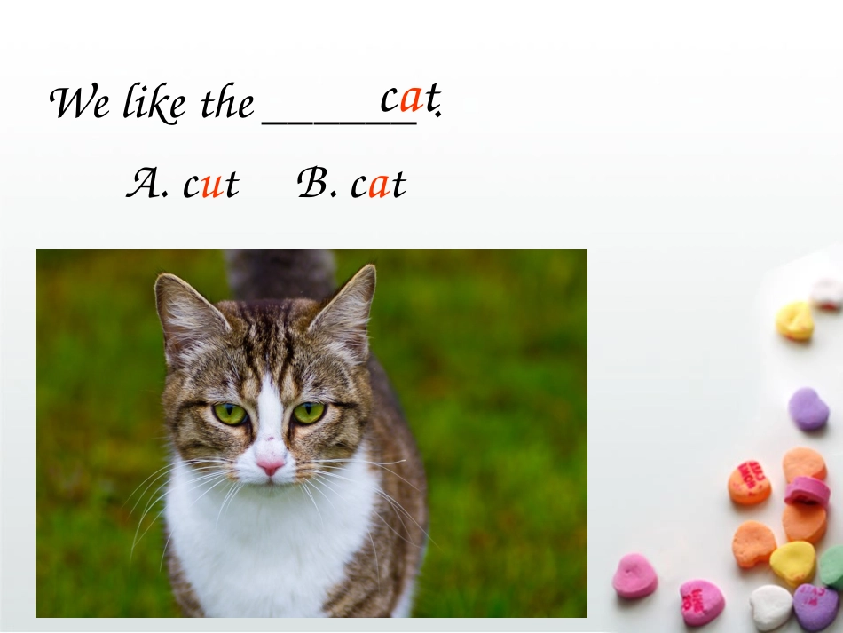 2013新版PEP小学英语四年级上册Unit6_Meet_my_family_A_Let's_spell2_第3页