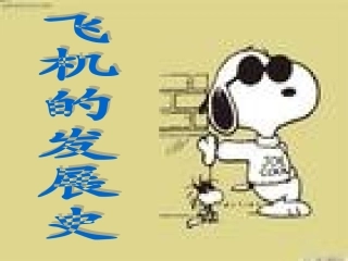 飞机的发展史
