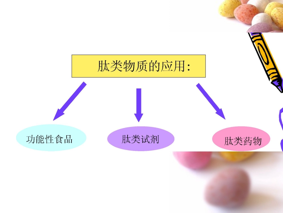活性肽、活性蛋白质和功能性油脂_第3页