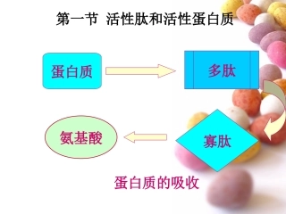 活性肽、活性蛋白质和功能性油脂