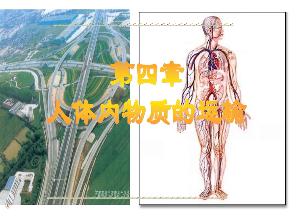 流动的组织——血液_第1页