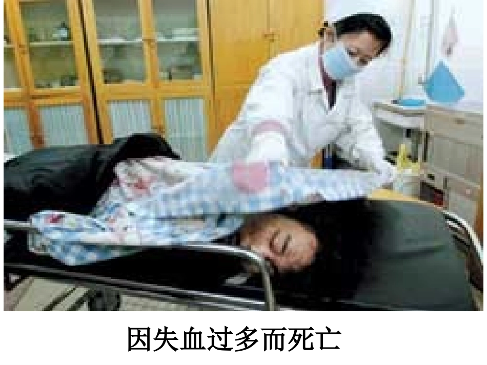 流动的组织——血液_第2页