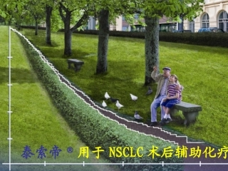 泰索帝用于非小细胞肺癌术后辅助化疗