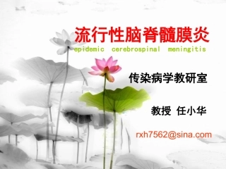 流脑2010