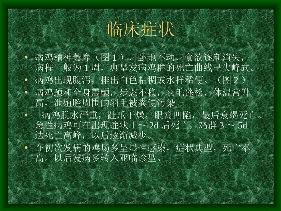 法氏囊病图谱_第3页