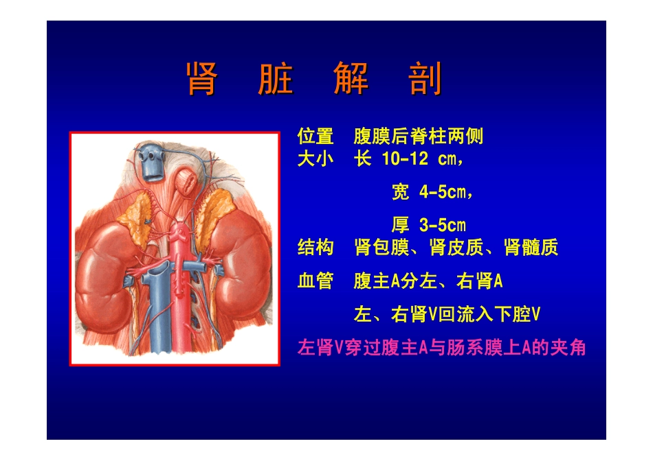泌尿超声课件_第3页
