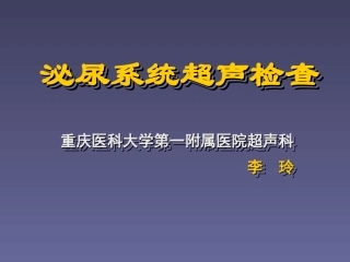 泌尿系统超声检查