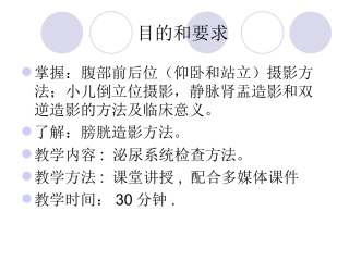 泌尿系统检查---影像
