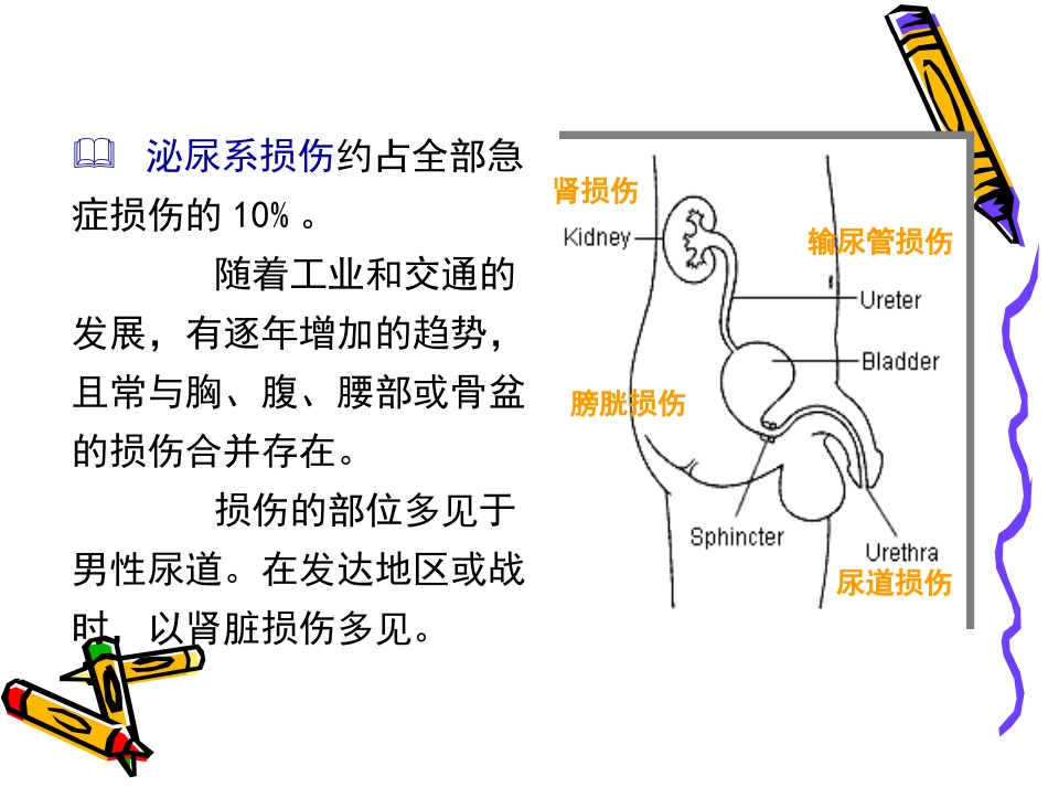 泌尿系统损伤PPT_第3页