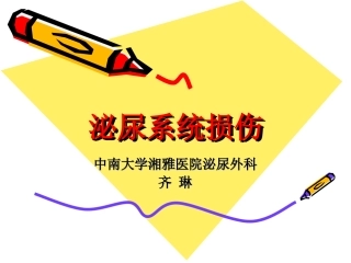 泌尿系统损伤PPT