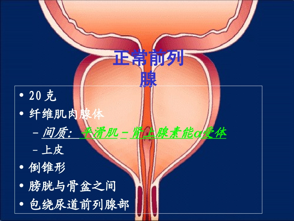 泌尿系统梗阻PPT_第3页