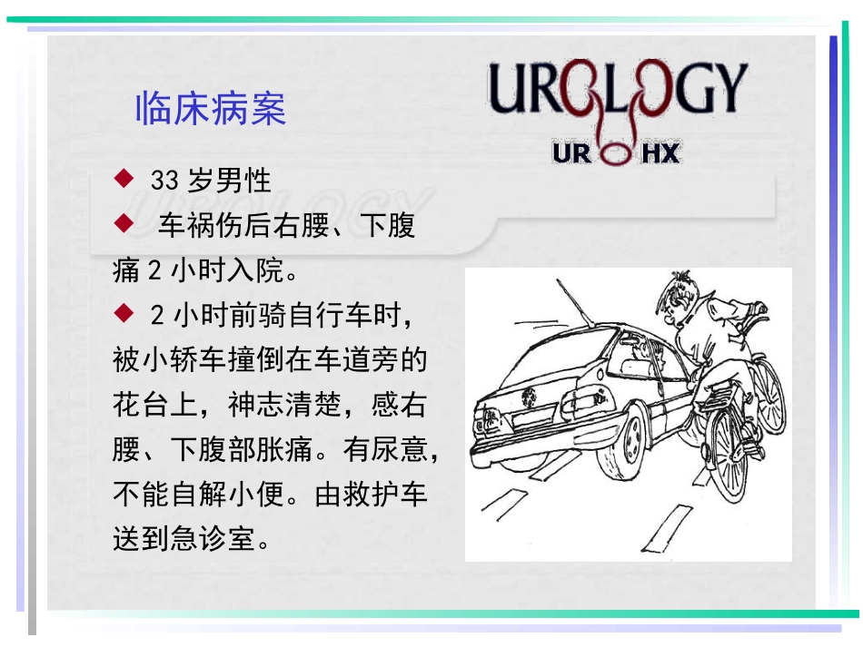 泌尿系统损伤(绝对专业!)_第2页