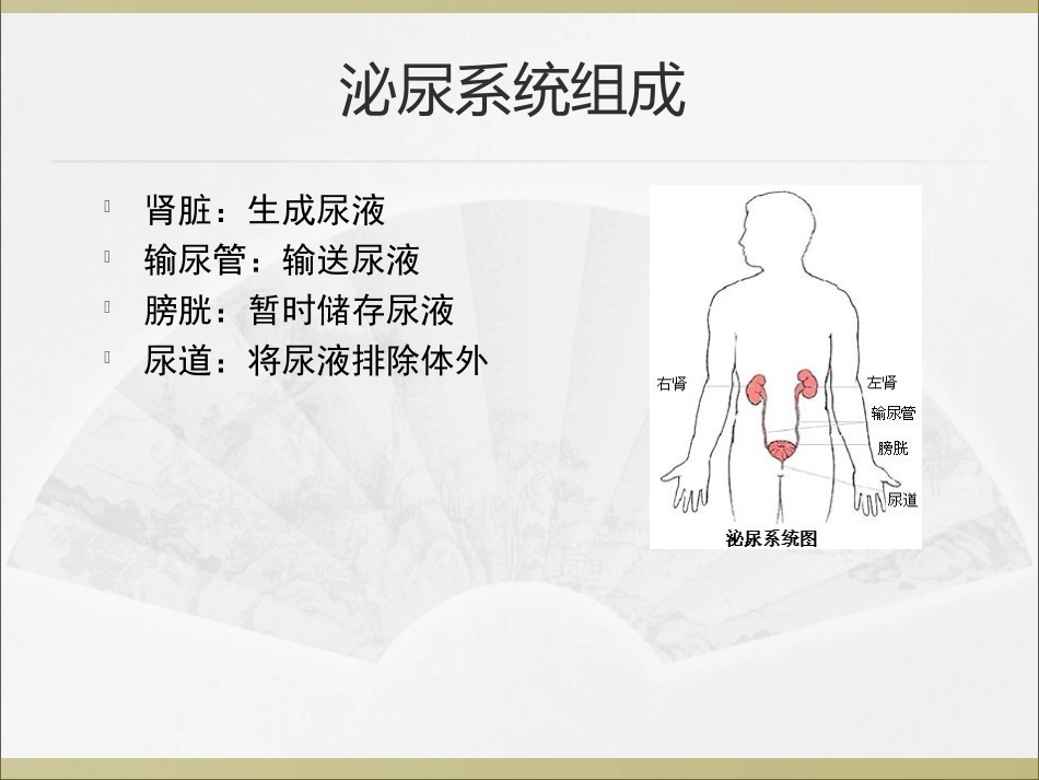 泌尿系统医院感染防控_第2页