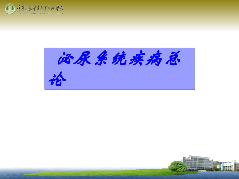 泌尿系统总论_第1页