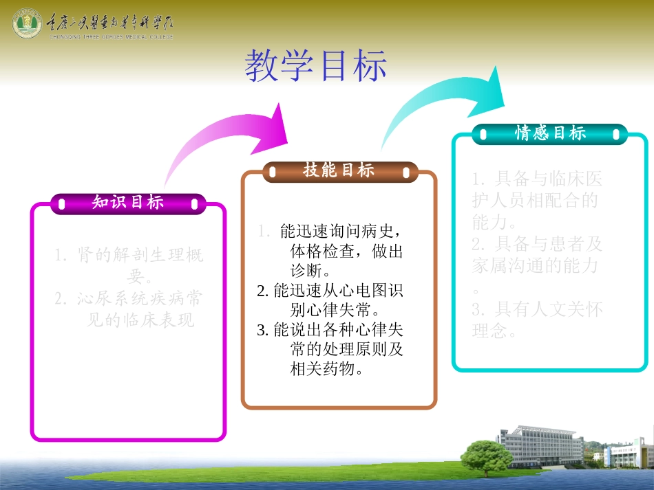 泌尿系统总论_第2页