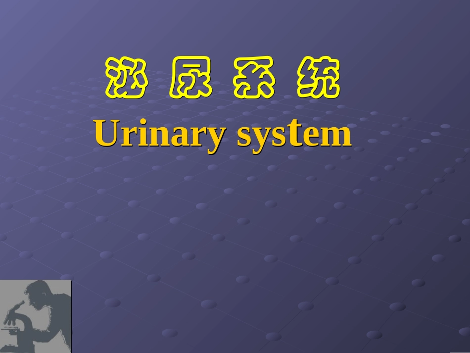 泌尿系统gd_第1页