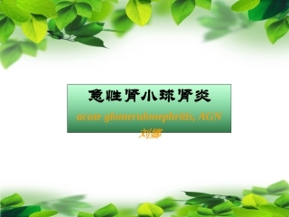 泌尿系统-急性肾小球肾炎