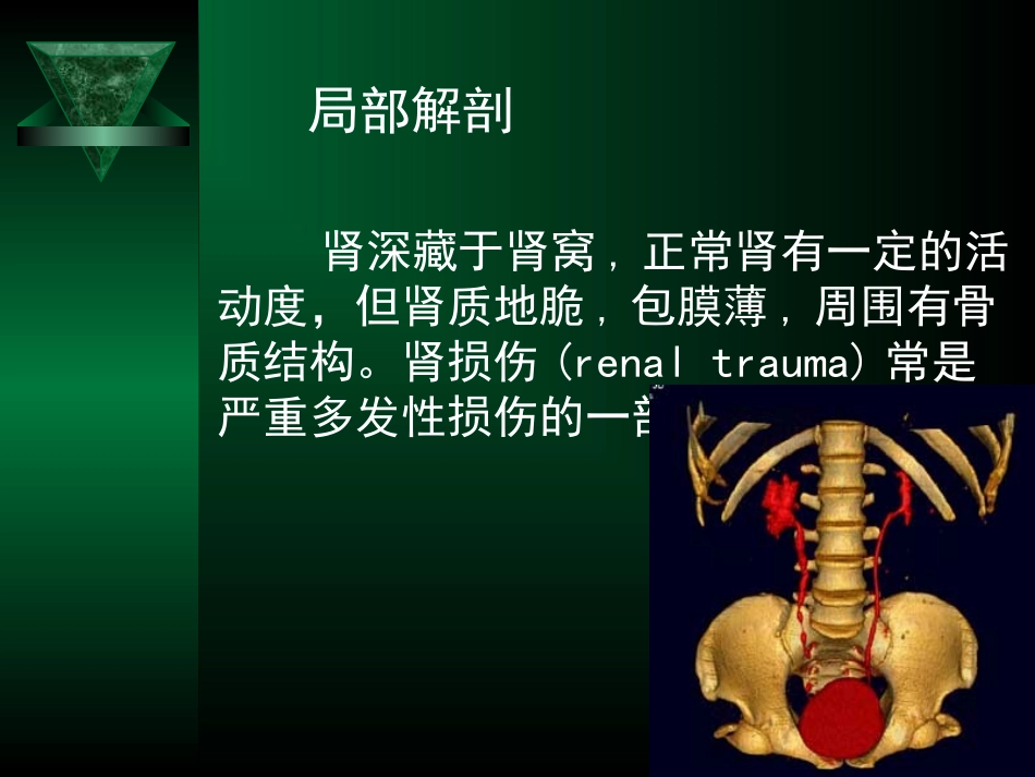 泌尿系损伤诊疗指南解读_第1页