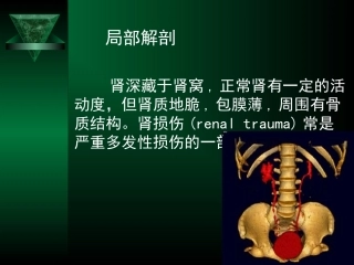 泌尿系损伤诊疗指南解读