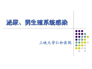 泌尿男生殖系统感染