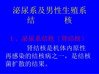 泌尿系及男性生殖系结核
