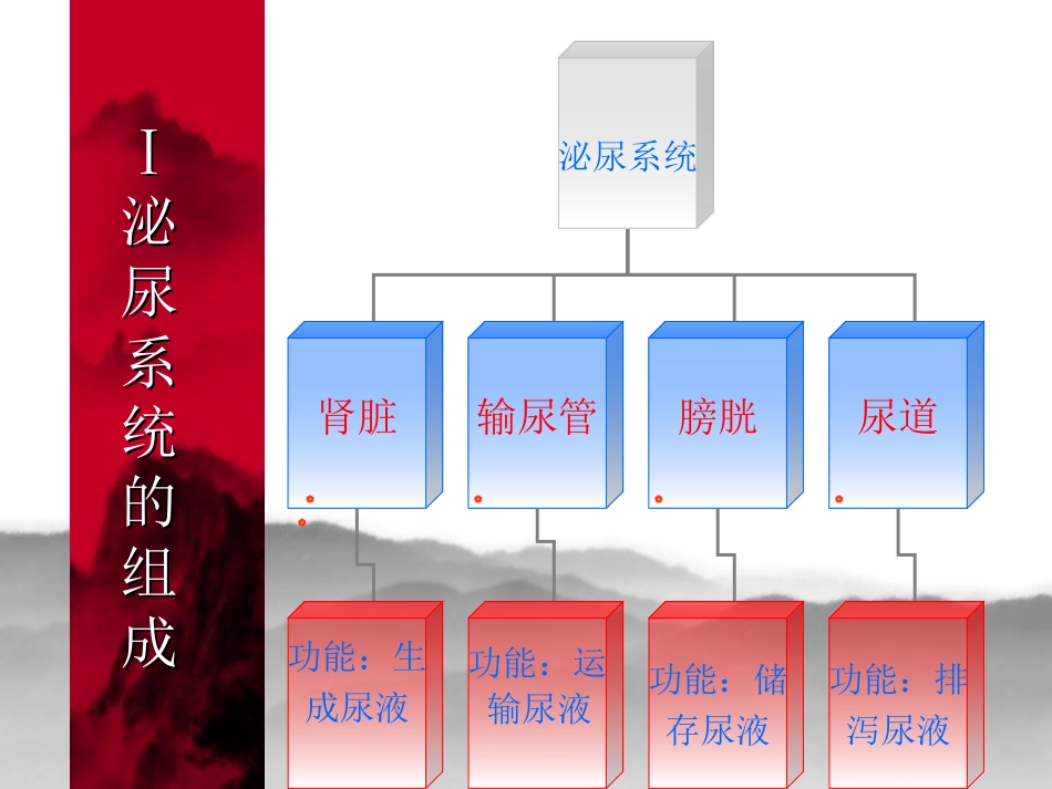 泌尿外科ppt_第3页
